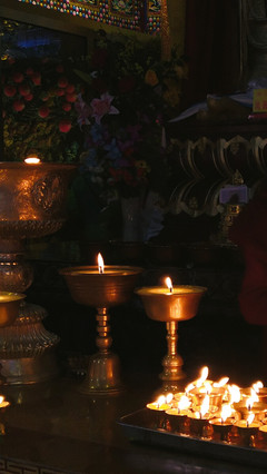 秋山無樹故崚嶒,幾度支筇未忍登。 荒路行愁逢牧馬,舊交老漸變高僧。 鐘樓自吼南朝寺,佛塔還燃半夜燈。 莫向雨花臺北望,寒云黯淡是鐘陵。